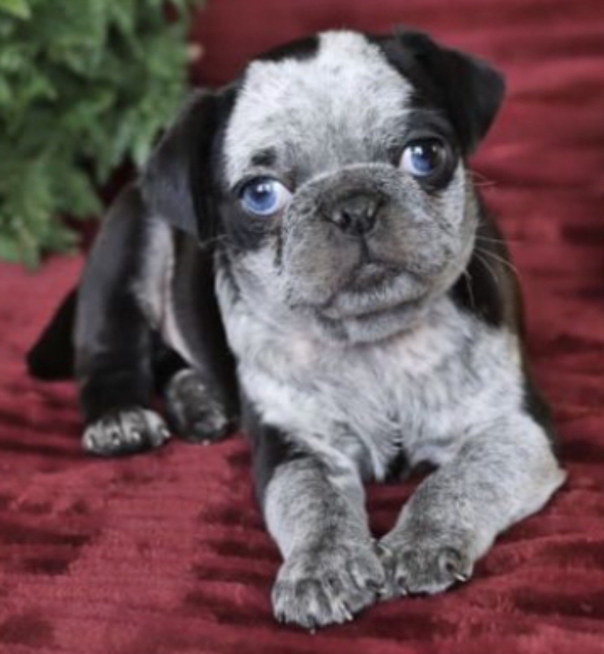 Baby Banksy, first photo ever