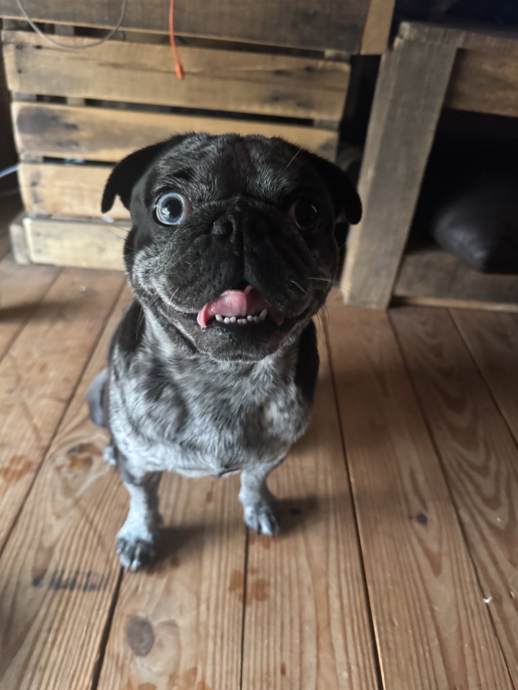 The smile that runs this farm