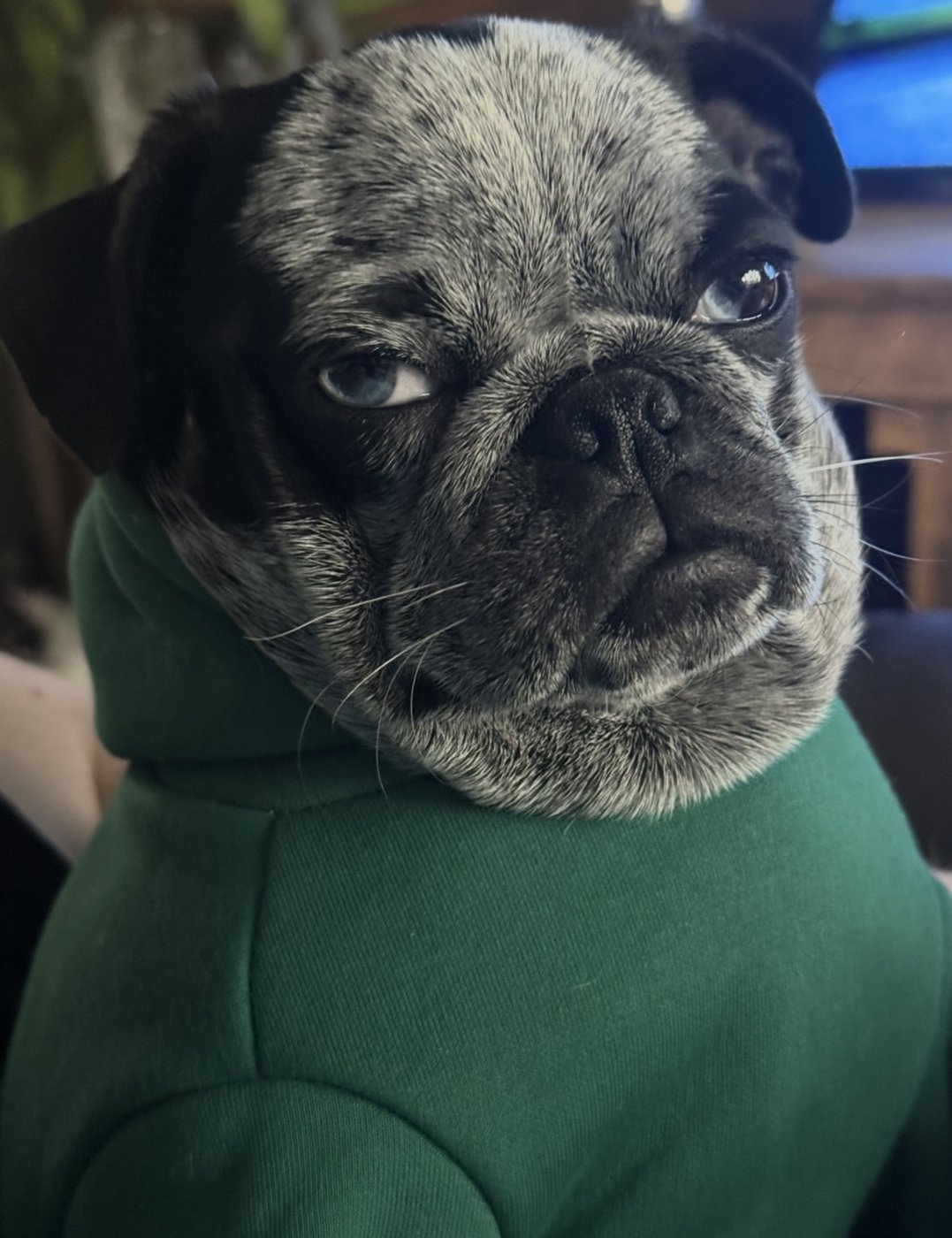The green hoodie