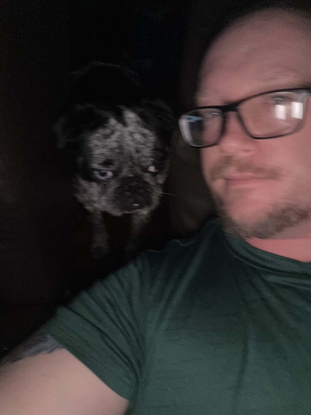 Puppy Banksy asleep on Michael's shoulder