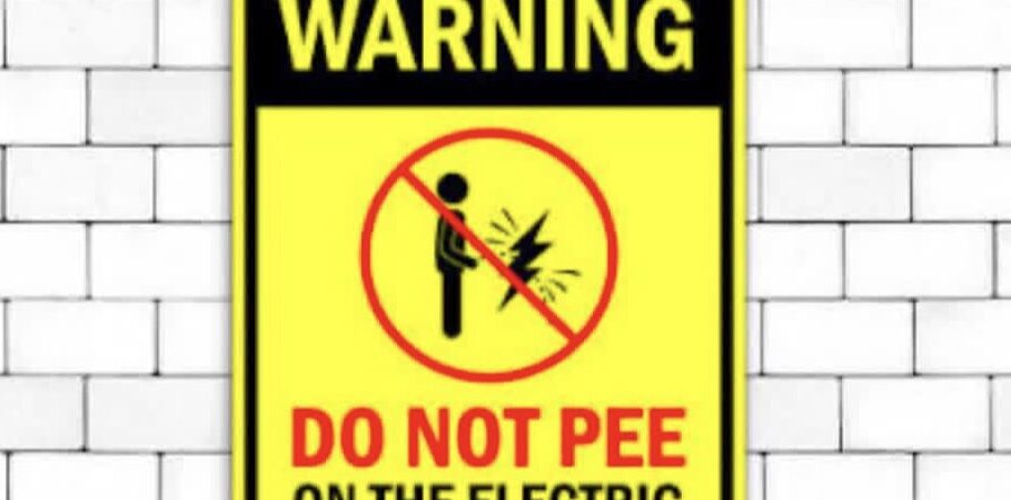 Wanted: Electric Fence Consultant (The Invisible Spicy Noodle Needs Work)