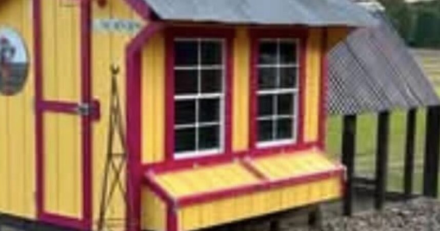 Chicken Coop U-Haul… Where You At?