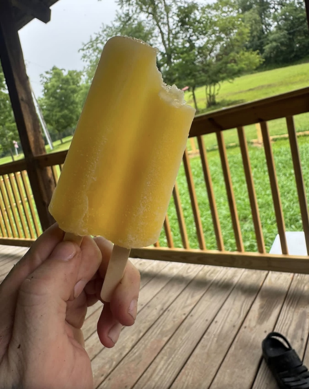 ⚠️ Trust No Yellow Frozen Object