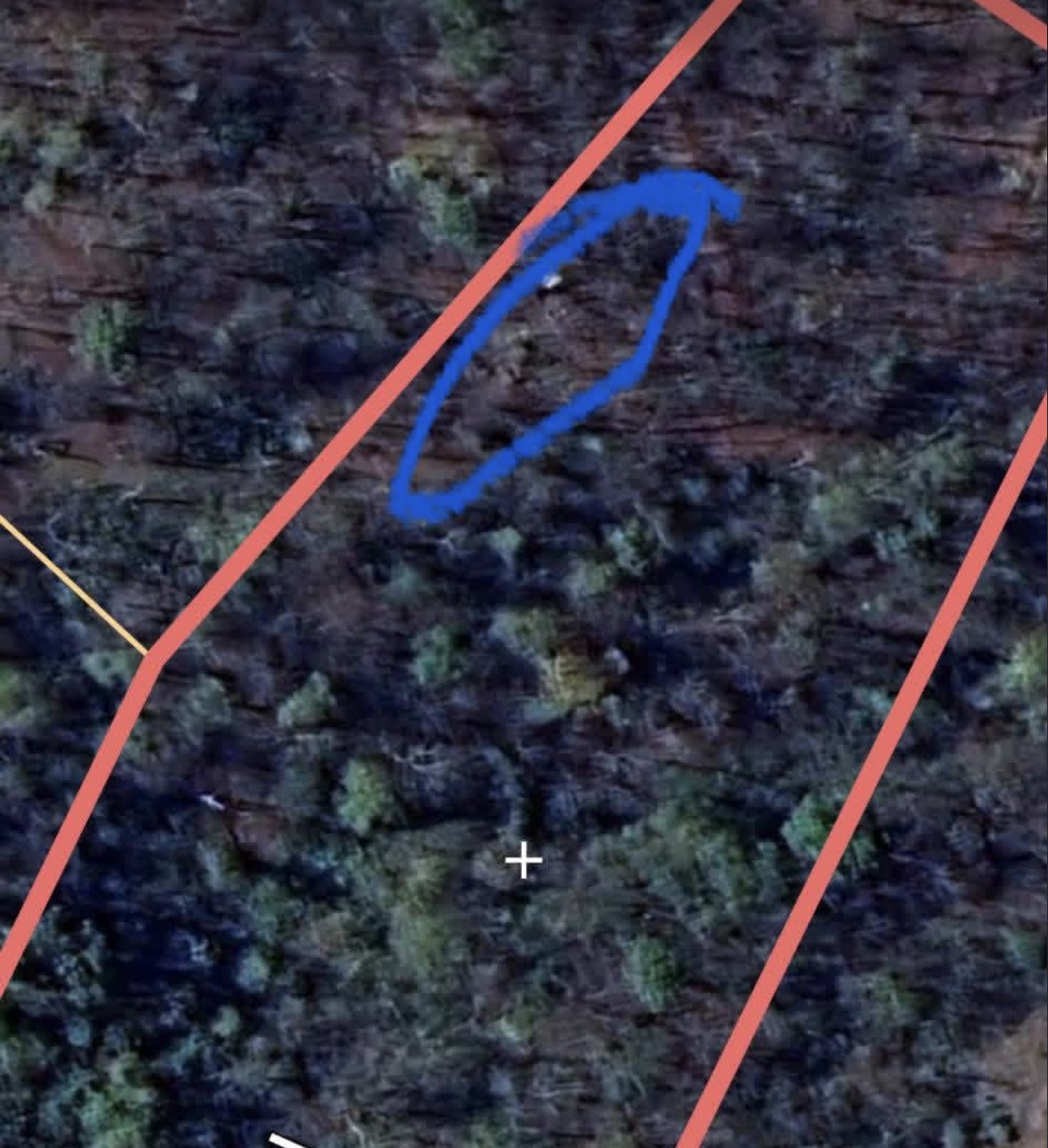 The evidence. Blue circle: mystery campsite. Everything else: also a mystery.